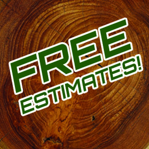 Tree Trimming Perris