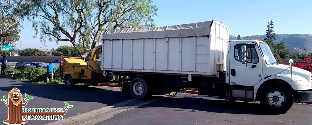 Fontana Commercial Property Landscape Maintenance