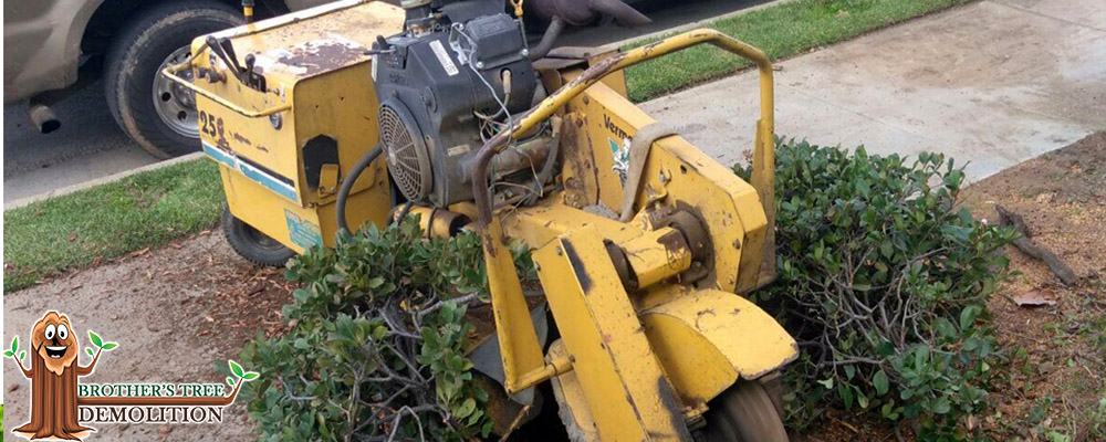 Fontana Commercial Property Landscape Maintenance