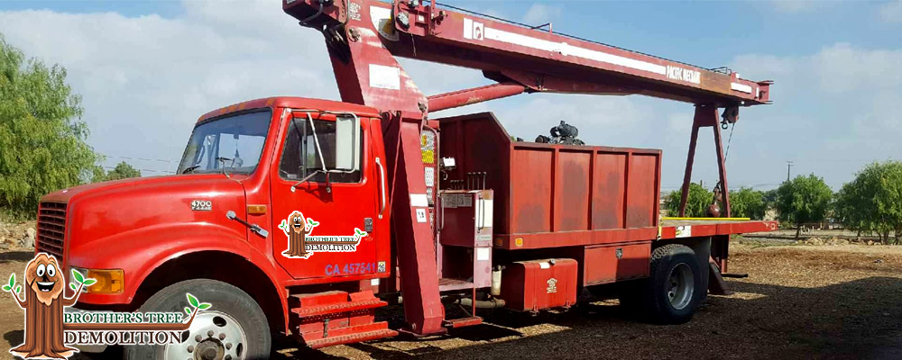 Fontana Commercial Property Landscape Maintenance